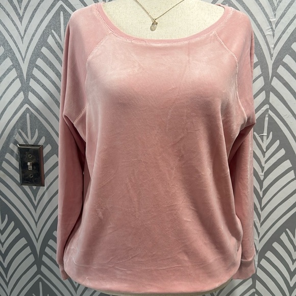 Gable and Gauge pink velvet long sleeve top - Picture 1 of 8